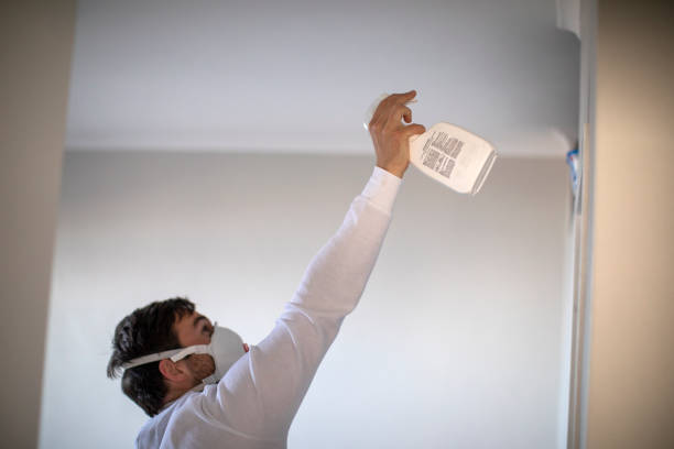 Best Mold Damage Repair  in Moreland Hills, OH